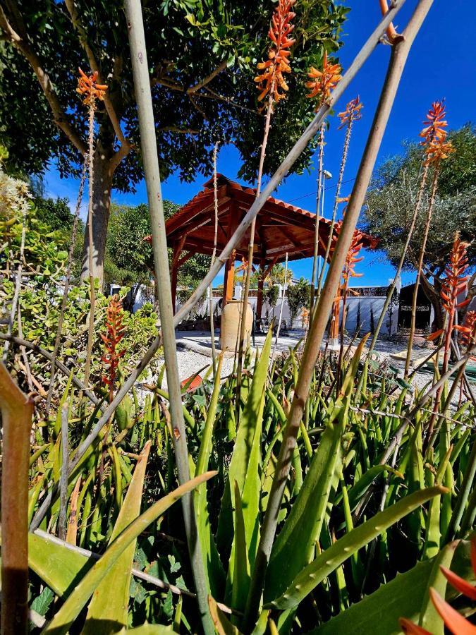 Chalet Alicante Sol Y Luz San Vicente Raspeig Bagian luar foto